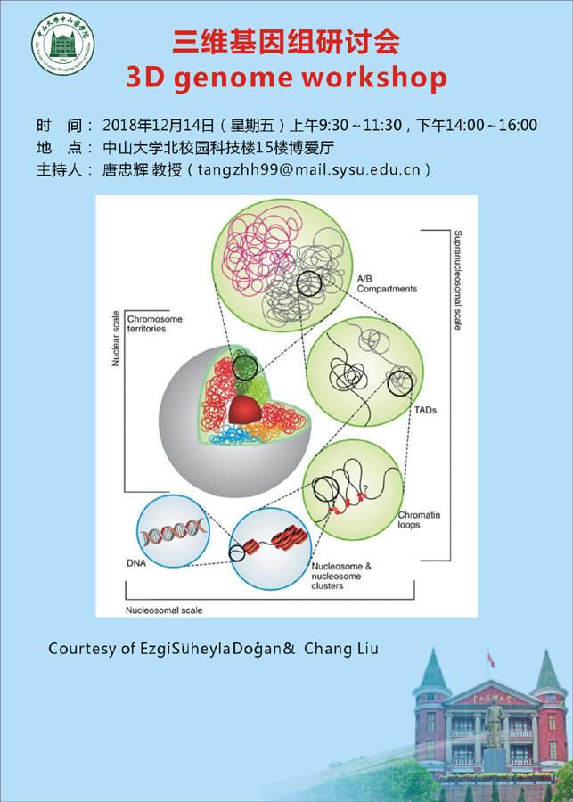 三维基因组研讨会